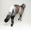 THOROUGHBRED