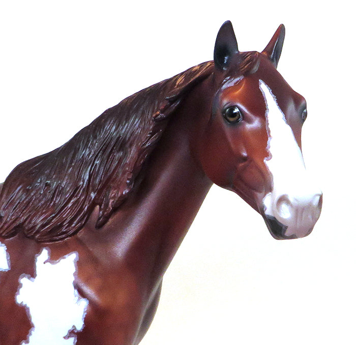 PAINT MODEL HORSE