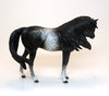 APPALOOSA PEBBLES