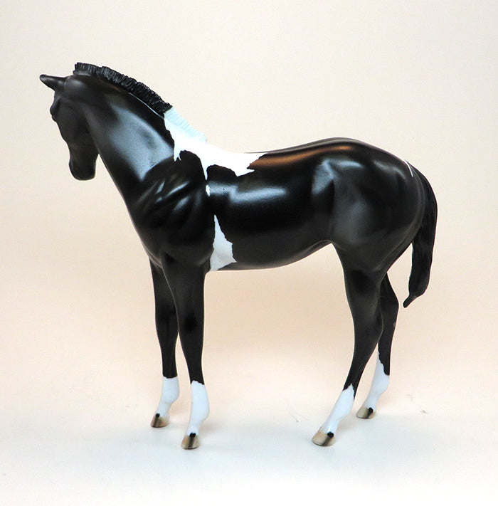 weanling model horses