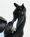 PAINT MODEL HORSE