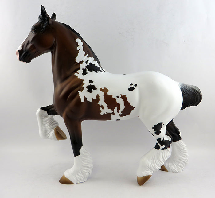 APPALOOSA