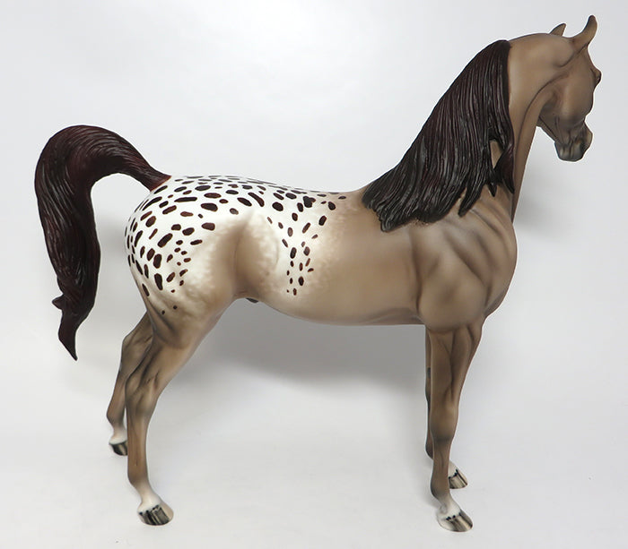 HAPPY BIRTHDAY DANNY-OOAK APPALOOSA ARABIAN MODEL HORSE 08/03/16