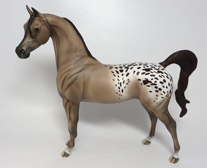 HAPPY BIRTHDAY DANNY-OOAK APPALOOSA ARABIAN MODEL HORSE 08/03/16