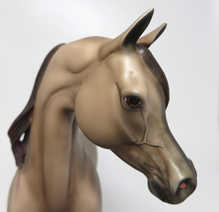 HAPPY BIRTHDAY DANNY-OOAK APPALOOSA ARABIAN MODEL HORSE 08/03/16