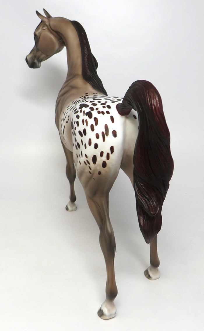 HAPPY BIRTHDAY DANNY-OOAK APPALOOSA ARABIAN MODEL HORSE 08/03/16