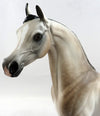 arabian