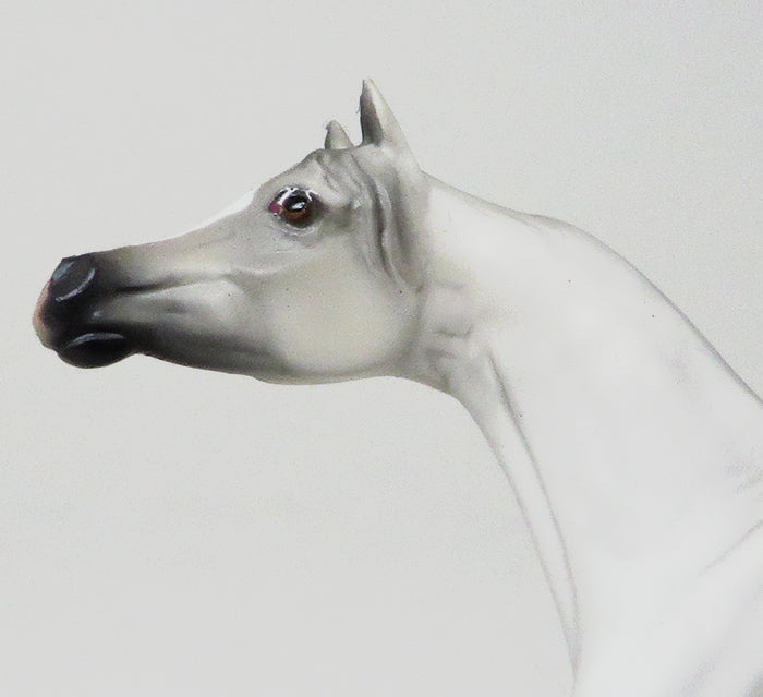 ARABIAN MODEL HORSE