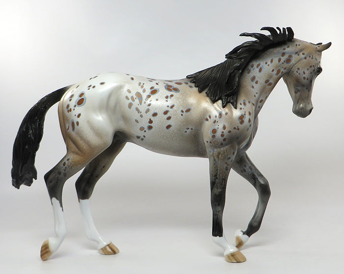 COCHISE-OOAK BAY APPALOOSA THOROUGHBRD MODEL HORSE 8/5