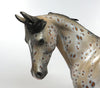 Thoroughbred