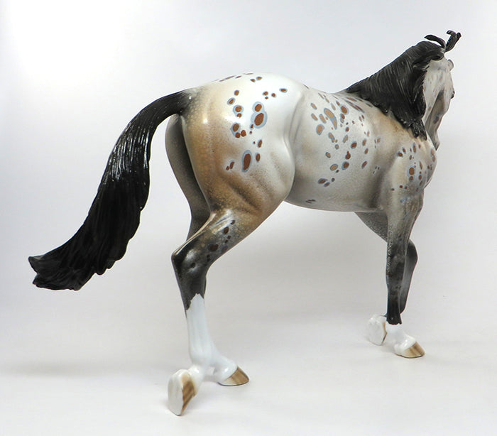 Appaloosa