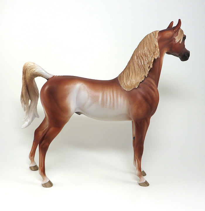 rabicino chestnut arabian 