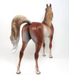 RABICINO ARABIAN