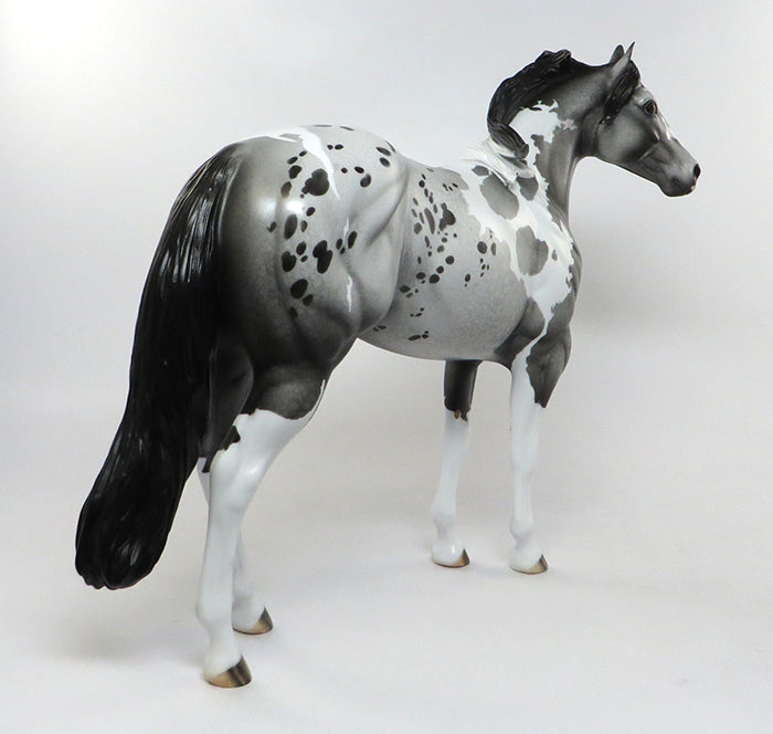 TARIQ-OOAK GREY &amp; BLACK PINTALOOSA ISH MODEL HORSE BY DAWN QUICK 08/04/16