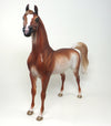CHESTNUT RABICINO