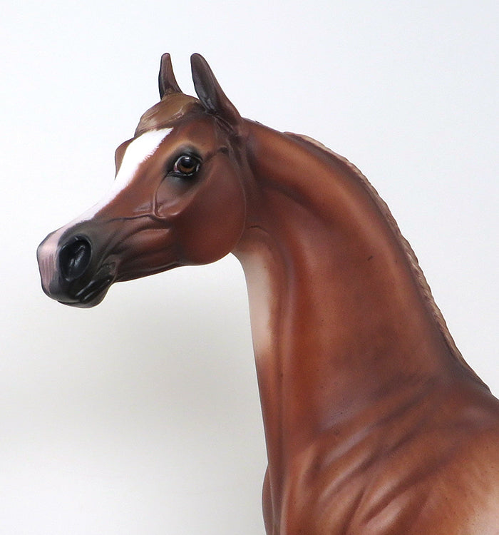 SHERYL LEISURE Arabian