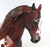 Andalusian