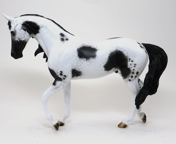 LLAGO-BLACK AND WHITE PINTO-THOROUGHBRED-OOAK-10/22