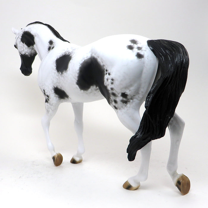 LLAGO-BLACK AND WHITE PINTO-THOROUGHBRED-OOAK-10/22