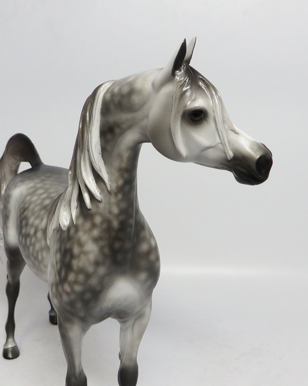 BRIGHT SIDE-OOAK STAR DAPPLE ARABIAN MODEL HORSE BY SHERYL LEISURE 1/5/18