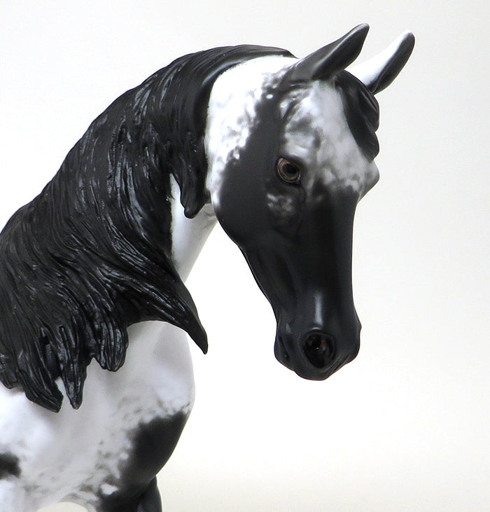 LLAGO-BLACK AND WHITE PINTO-THOROUGHBRED-OOAK-10/22