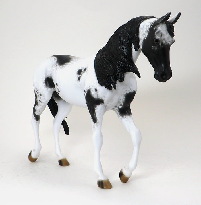 LLAGO-BLACK AND WHITE PINTO-THOROUGHBRED-OOAK-10/22