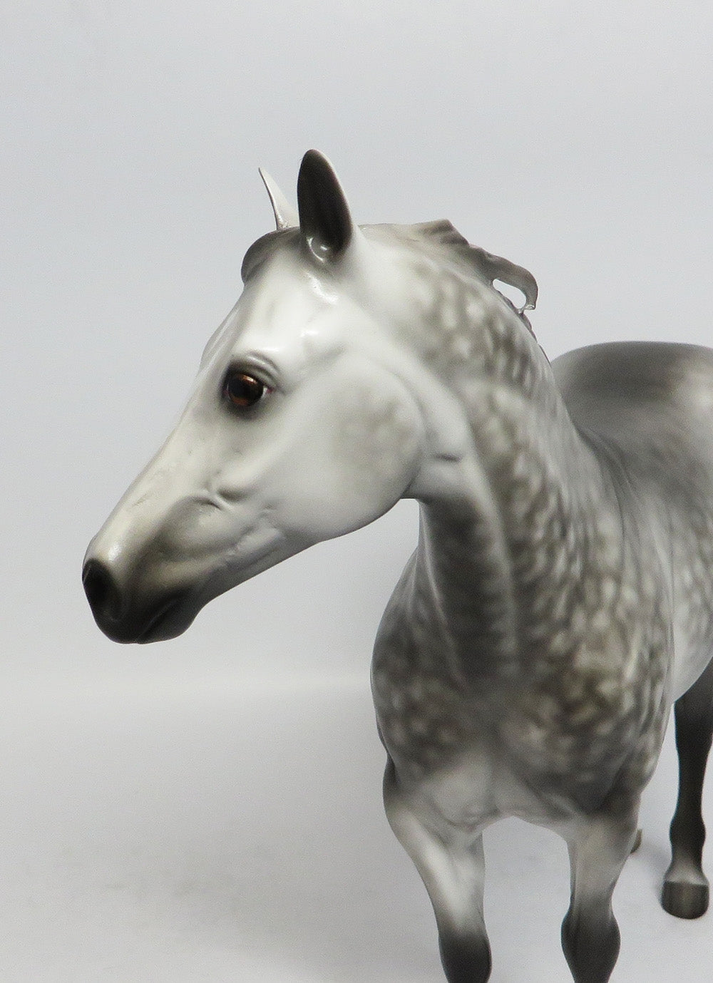 TOMORROW&#39;S PROMISE-OOAK STAR DAPPLE ISH MODEL HORSE BY SHERYL LEISURE 1/5/18