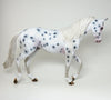 LATE 2 THE PARTY - OOAK APPALOOSA THOROUGHBRED MODEL HORSE  - 2/5