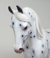 LATE 2 THE PARTY - OOAK APPALOOSA THOROUGHBRED MODEL HORSE  - 2/5