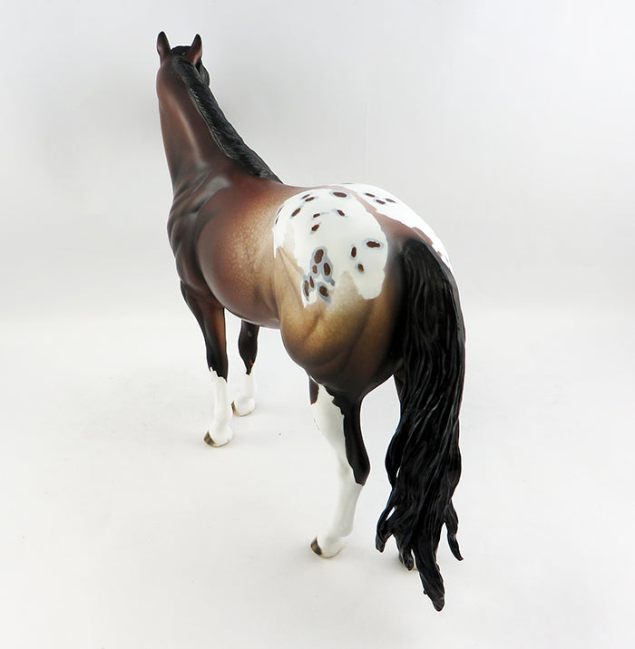 Appaloosa