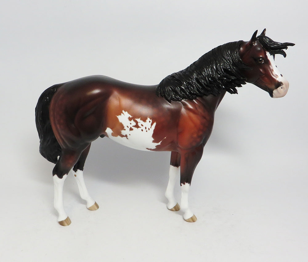 ASPIRE~OOAK STAR DAPPLE ETCHED BAY ISH MODEL HORSE BY SHERYL LEISURE 1/5/18