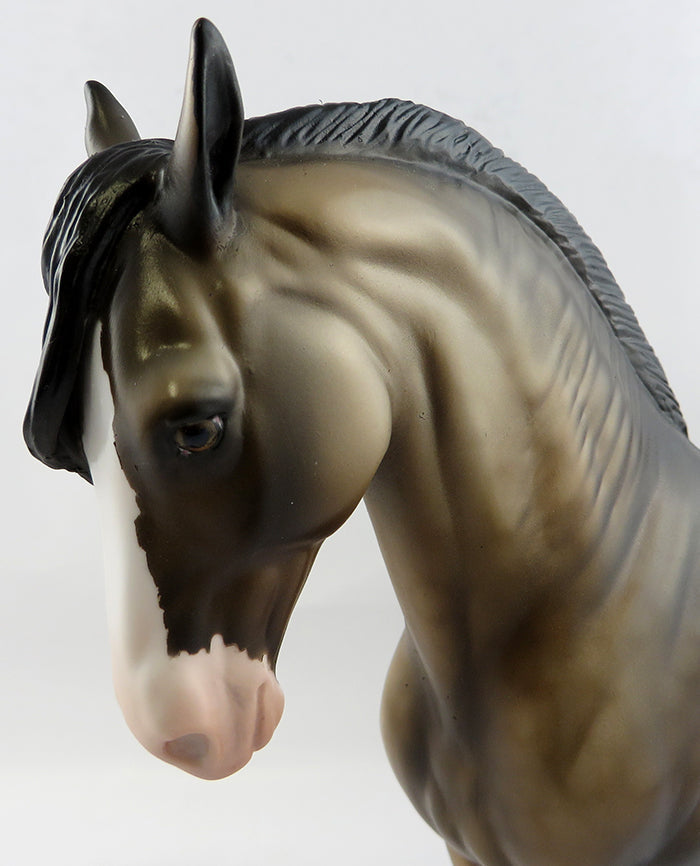 peter stone andalusian 