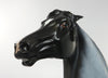 Blue Roan