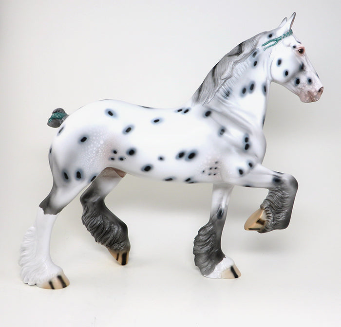 appaloosa trotting drafter 