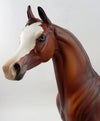 chestnut arabian