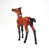 ELBIE - OOAK BAY FOAL CHIP MODEL HORSE - 10/22