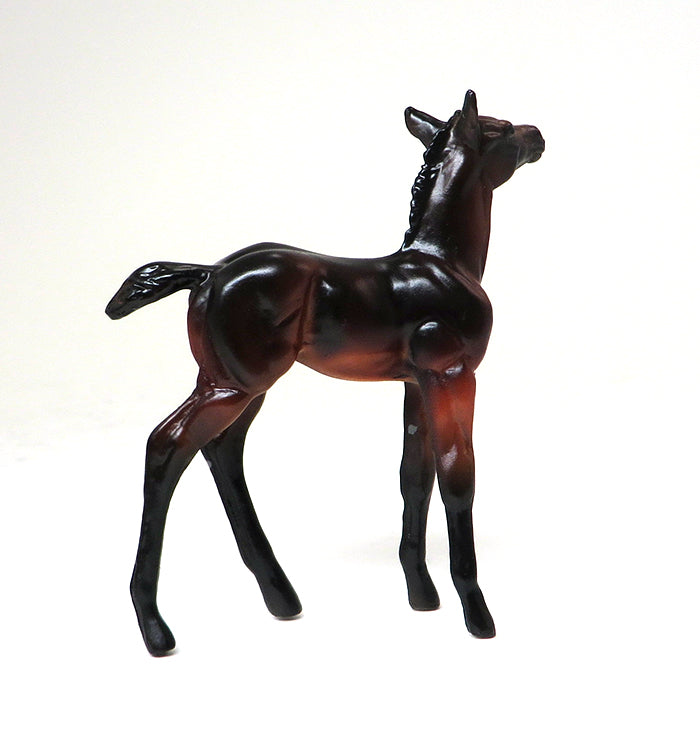 CALLAOWAY- SEAL BAY-FOAL CHIP- OOAK 10/22