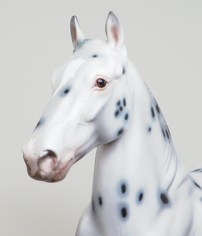 MR. PRETENTIOUS - OOAK APPALOOSA TROTTING DRAFTER MODEL HORSE - 2/5