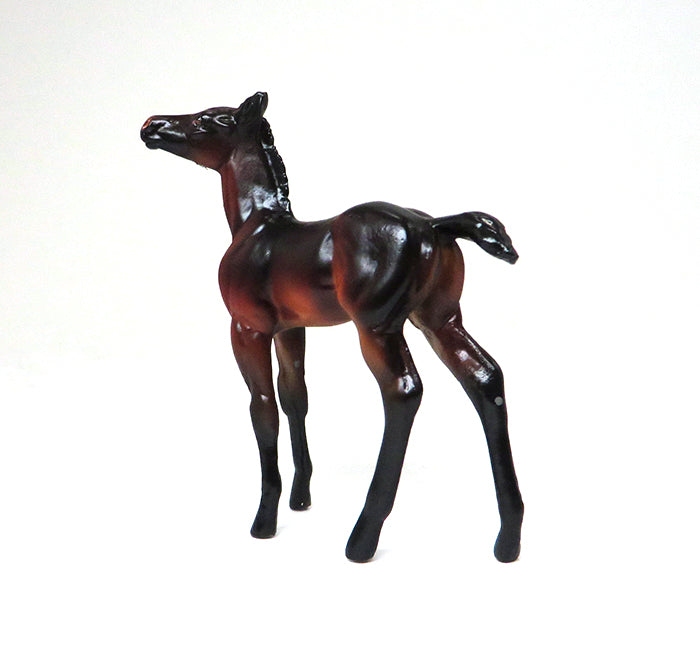 CALLAOWAY- SEAL BAY-FOAL CHIP- OOAK 10/22