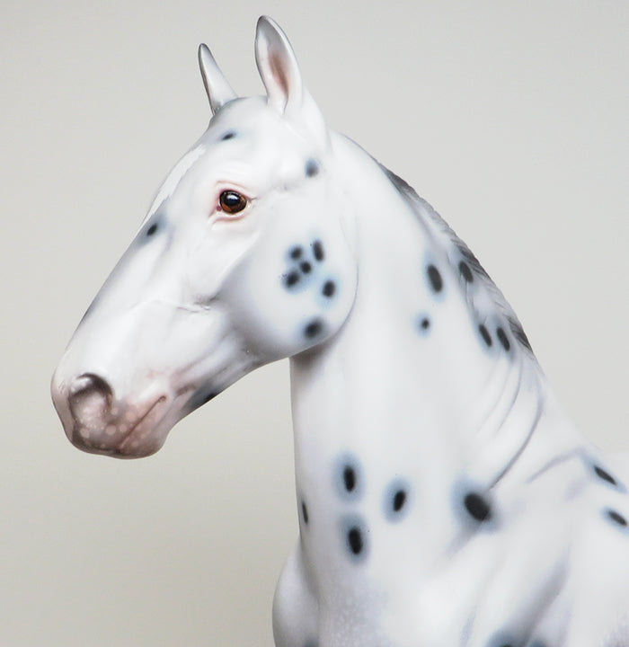 MR. PRETENTIOUS - OOAK APPALOOSA TROTTING DRAFTER MODEL HORSE - 2/5