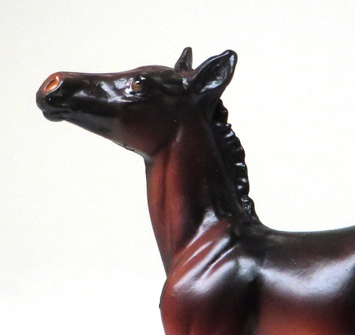 CALLAOWAY- SEAL BAY-FOAL CHIP- OOAK 10/22