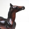 CALLAOWAY- SEAL BAY-FOAL CHIP- OOAK 10/22