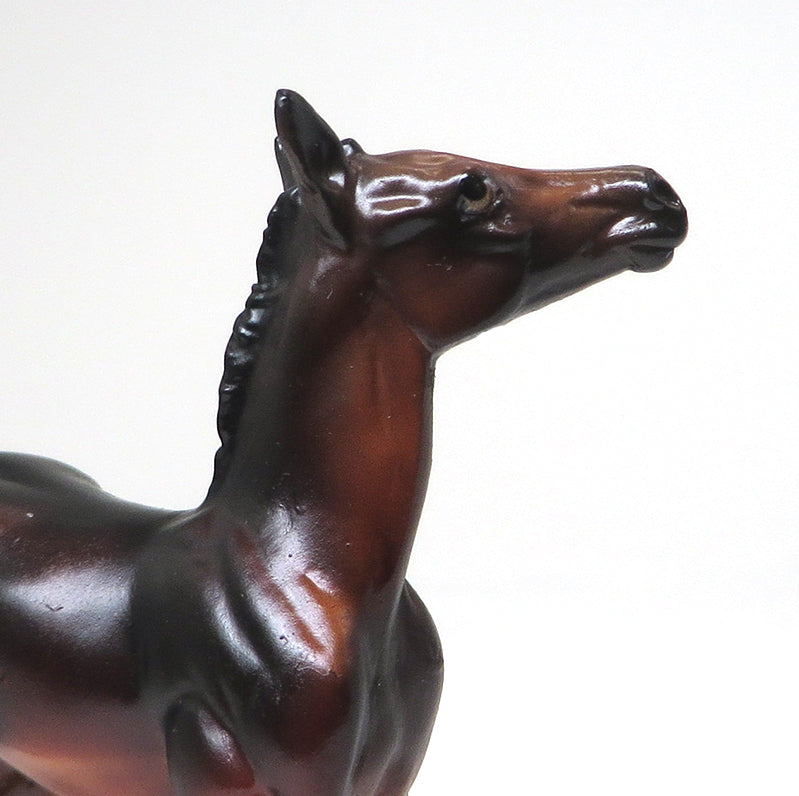 CALLAOWAY- SEAL BAY-FOAL CHIP- OOAK 10/22