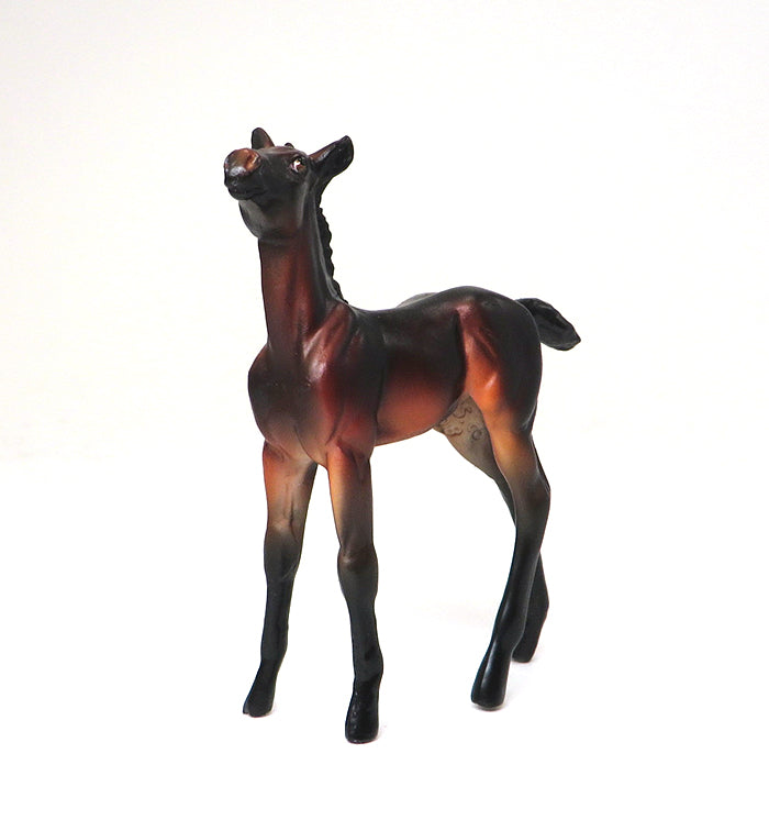 CALLAOWAY- SEAL BAY-FOAL CHIP- OOAK 10/22