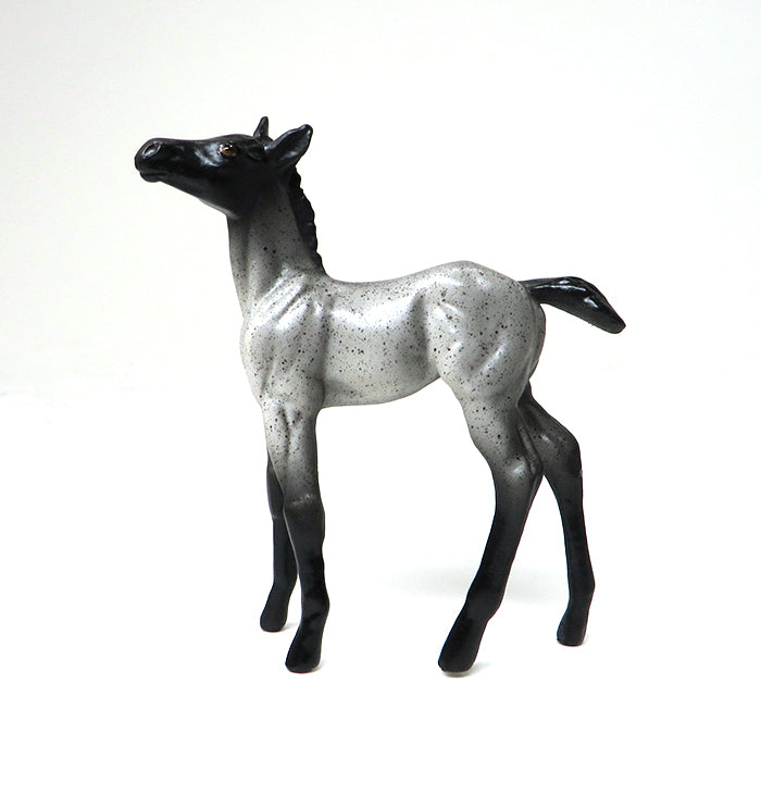 ACOODA-BLUE ROAN-FOAL CHIP- OOAK 10/22