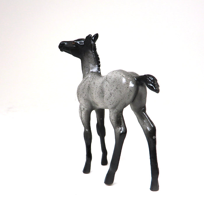 ACOODA-BLUE ROAN-FOAL CHIP- OOAK 10/22