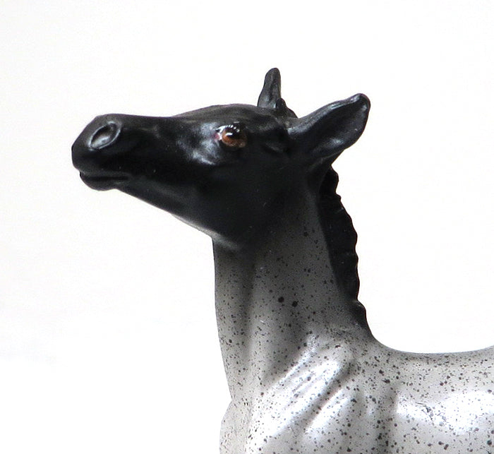 ACOODA-BLUE ROAN-FOAL CHIP- OOAK 10/22