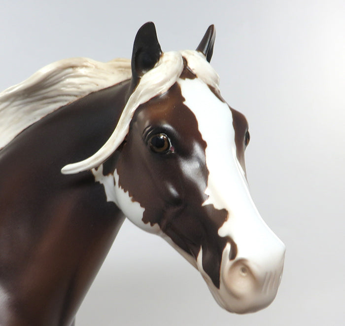 SPIN DOCTOR-OOAK CHESTNUT ISH PAINT MODEL HORSE HORSE 8/4