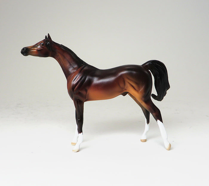 GIGGLES - OOAK SEAL BAY ARABIAN CHIP - 10/22