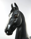 Saddlebred